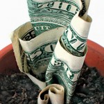 Pay It Forward projects to benefit those in need of food, water, joy Pay It Forward projects to benefit those in need of food, water, joy