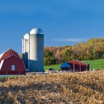 Archdiocesan Rural Life Sunday Archdiocesan Rural Life Sunday