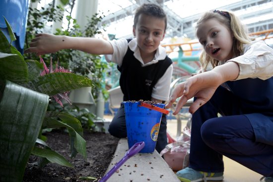 Convent of the Visitation School third-grader Caroline Schlehuber, right, reacts to the many ladybugs crawling on her hand as classmate Logan Kinsella watches. Third-graders from the Mendota Heights school celebrated Earth Day April 22 by releasing 70,000 ladybugs through­out Mall of America’s Nickelodeon Universe amusement park. The ladybugs, which eat aphids and other pests, will act as “green” pesticides to protect the live plants throughout the park. The event is part of an ongoing collaboration between the Mall of America in Bloomington  and Visitation’s third-graders. This year’s theme at the school is “What I Like About Minnesota,” and the third-grade students put the nation’s largest retail and entertainment complex at the top of their list. Photo by Jim Bovin for the Catholic Spirit