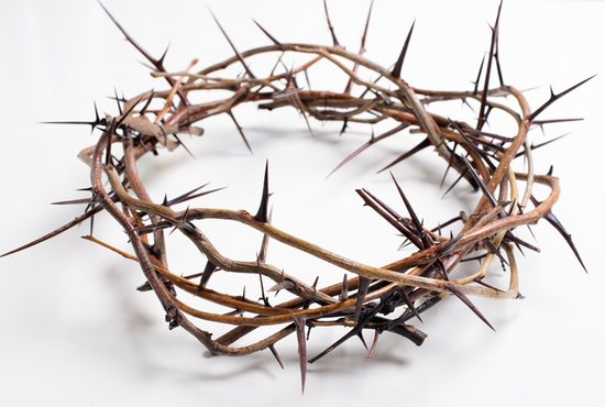 Crown-of-thorns
