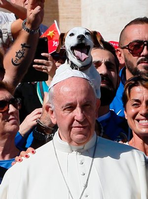 A dog sticks out his tongue as Pope Francis poses with members of an agility dog club during his general audience in St. Peter's Square at the Vatican Oct. 5. CNS photo/Paul Haring