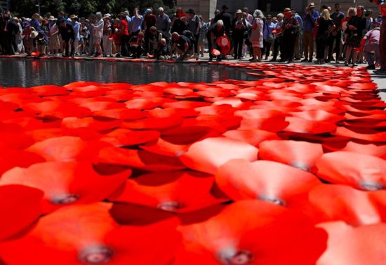 Members of the public place floating poppies onto a pond during a memorial service at the ANZAC War Memorial to mark the centenary of the armistice ending World War I, in Sydney Nov. 11.