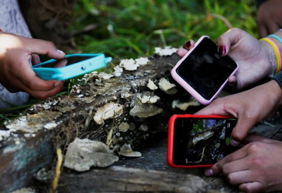 Students take photographs of mushrooms in Cota Cota, La Paz, Bolivia, April 29, 2019.