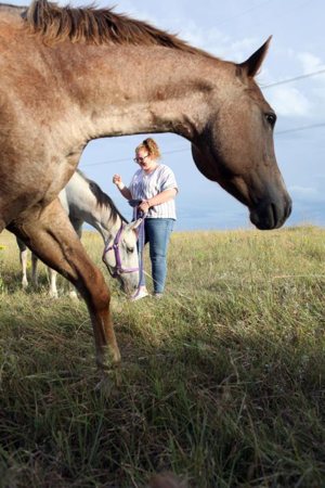 Jordyn works with Dakota, a grey Appaloosa horse, at the Warrior's Ranch