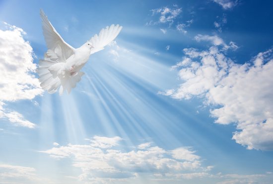 The Gifts of the Holy Spirit - Bible Meaning and Scriptures