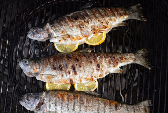 Rainbow trout are grilled over hot coals. Fresh trout are perfect for cooking over an open fire.