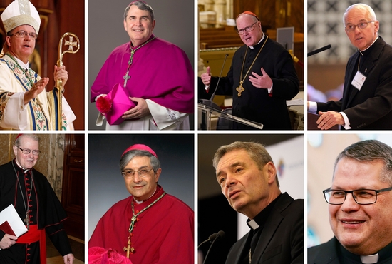 New York bishops who head the state's Catholic dioceses are shown clockwise from top left: Bishop John O. Barres of Rockville Centre; Bishop Michael W. Fisher of Buffalo; Cardinal Timothy M. Dolan of New York; Bishop Terry R. LaValley of Ogdensburg; Bishop Douglas J. Lucia of Syracuse; Bishop Robert J. Brennan of Brooklyn; Bishop Salvatore R. Matano of Rochester; and Bishop Edward B. Scharfenberger of Albany.